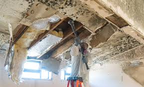 Best Commercial Mold Inspection  in Sands Point, NY